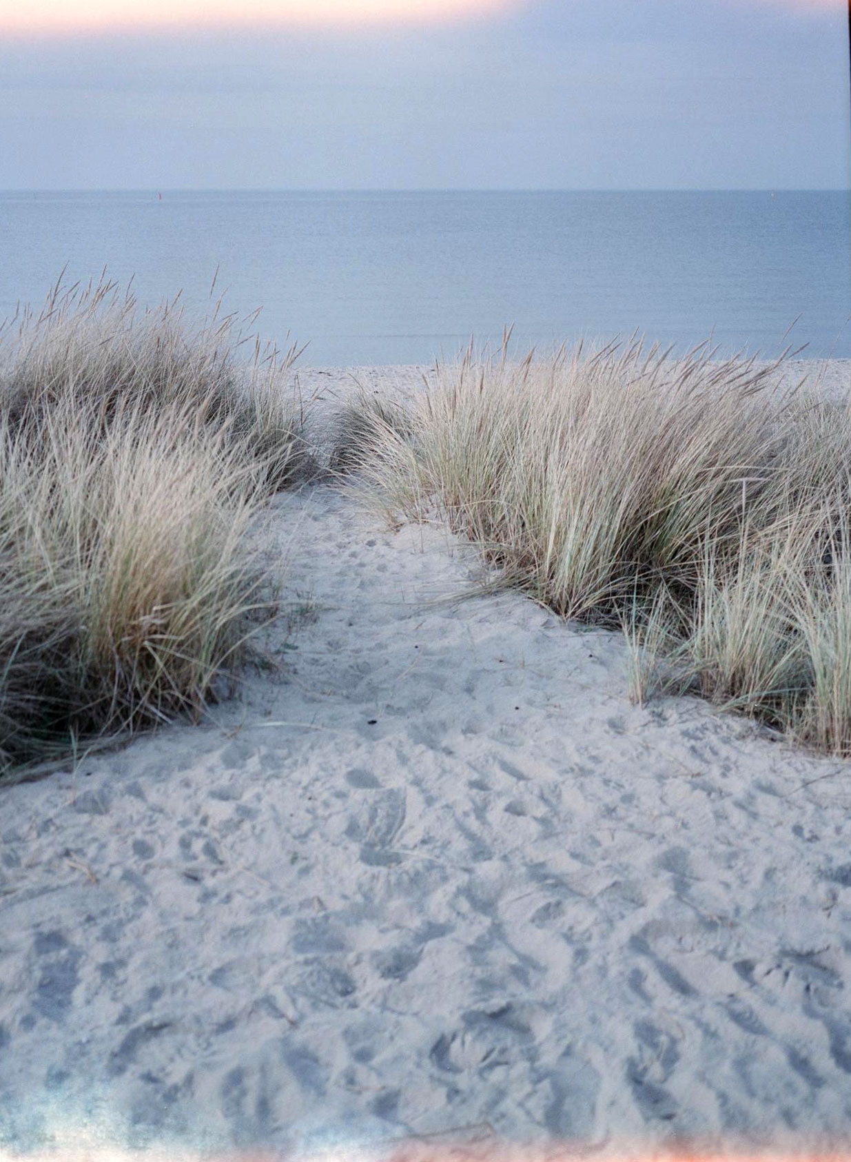 sandy path leading to beach
